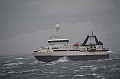 107_Antarctica_Peninsula_Gerlache_Strait