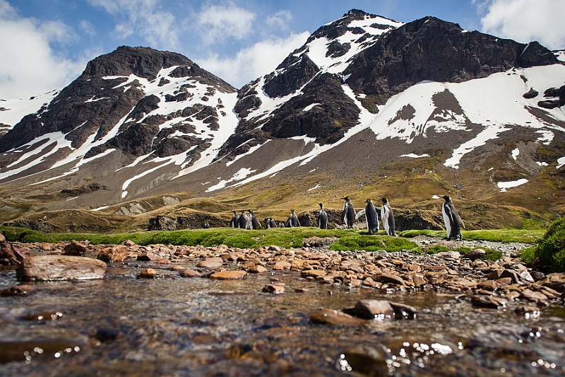 091_Best_of_Antarctica_Ponant.jpg