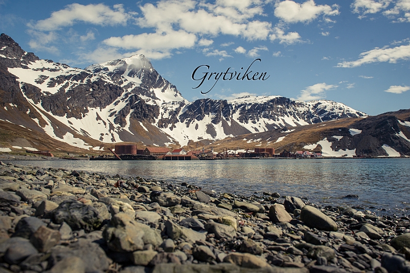115_Best_of_Antarctica_Ponant.jpg