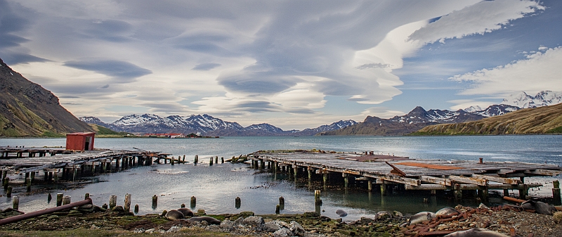 129_Best_of_Antarctica_Ponant.jpg