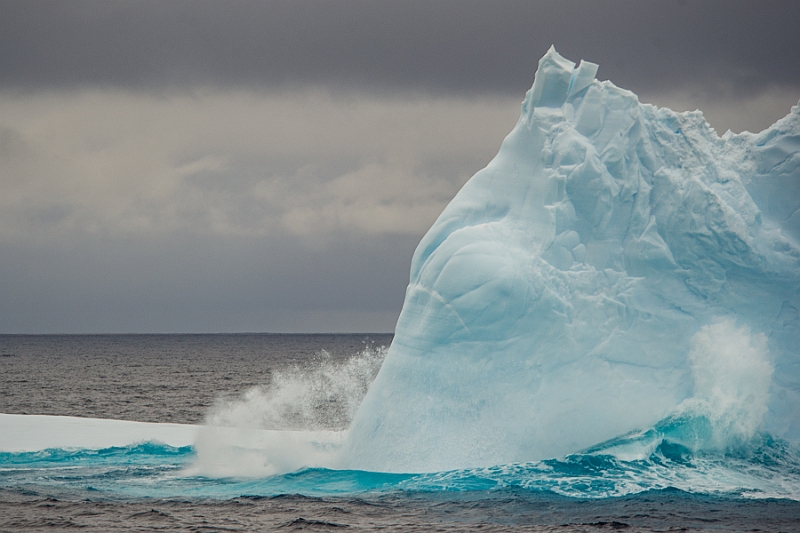 200_Best_of_Antarctica_Ponant.jpg