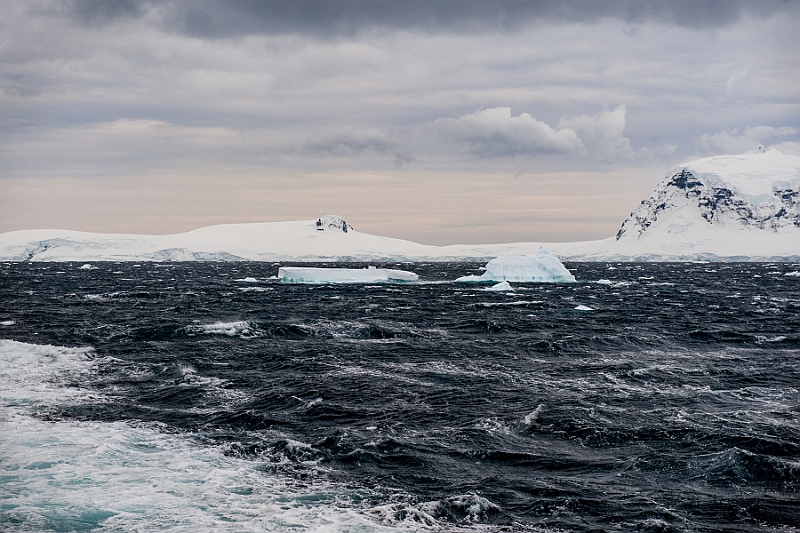 217_Best_of_Antarctica_Ponant.jpg