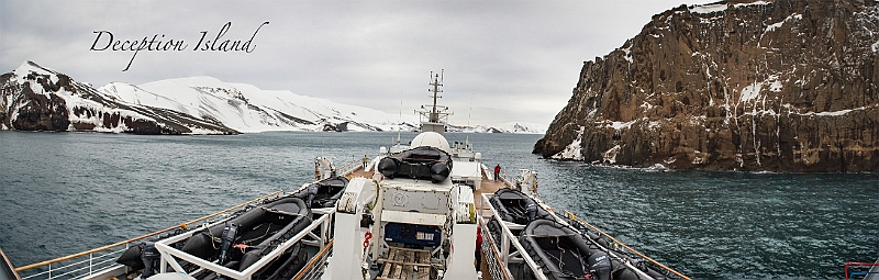 237_Best_of_Antarctica_Ponant.jpg