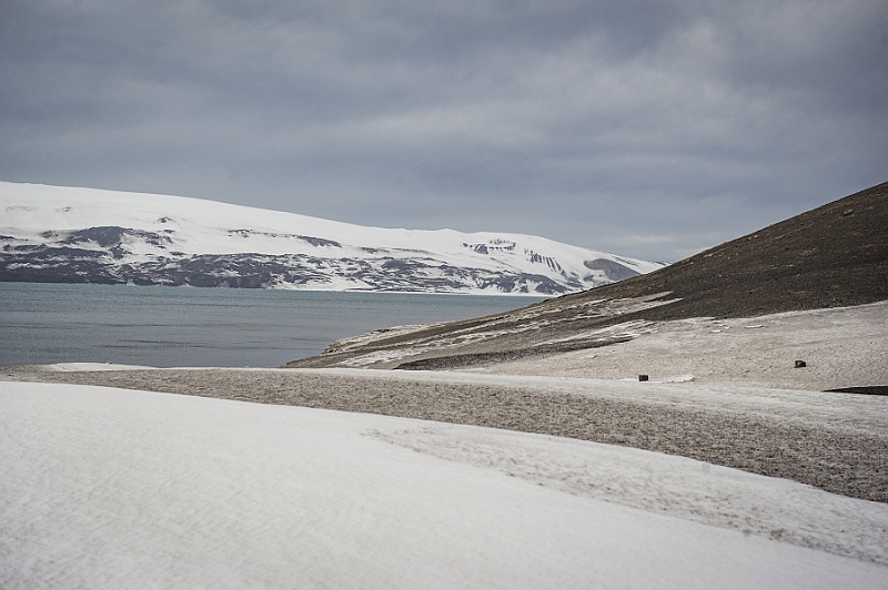 246_Best_of_Antarctica_Ponant.jpg