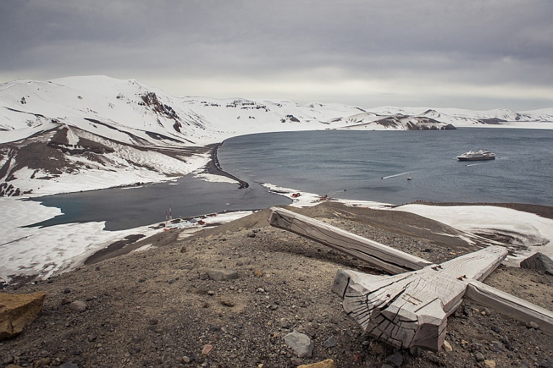 249_Best_of_Antarctica_Ponant.jpg