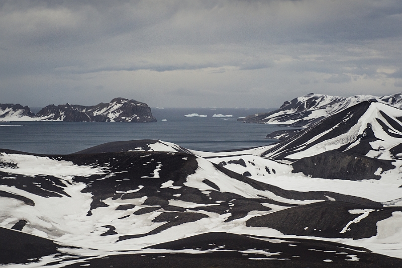 251_Best_of_Antarctica_Ponant.jpg