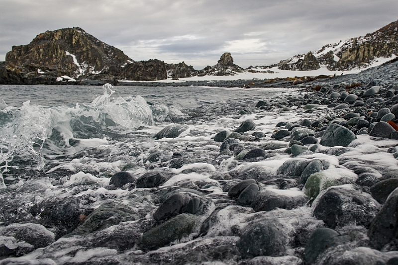 265_Best_of_Antarctica_Ponant.jpg