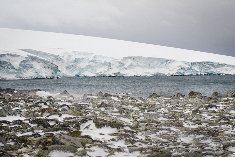 276_Best_of_Antarctica_Ponant.jpg