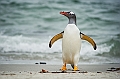 063_Best_of_Antarctica_Ponant