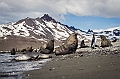 080_Best_of_Antarctica_Ponant