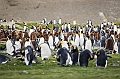 094_Best_of_Antarctica_Ponant