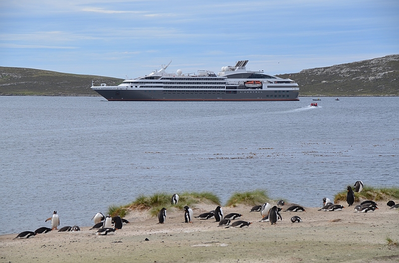 065_L_Austral.JPG