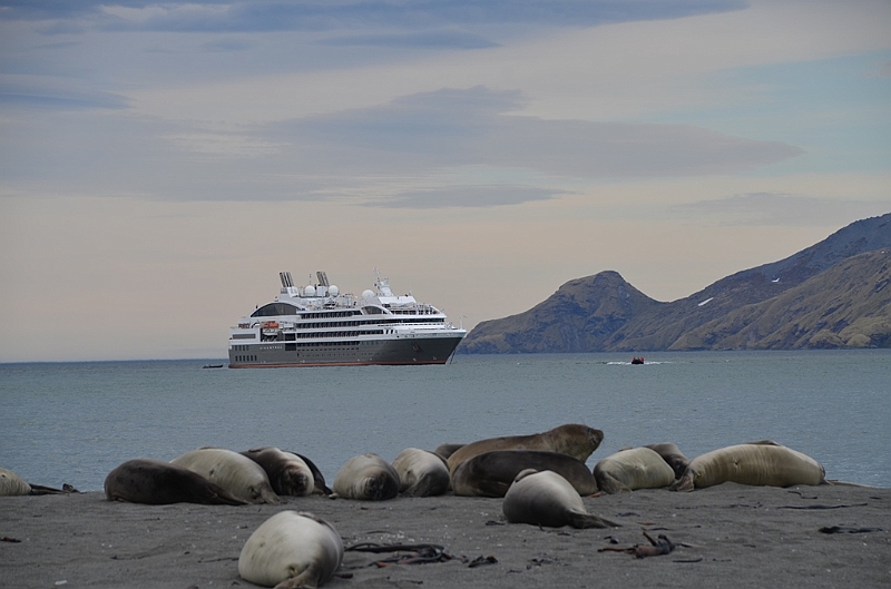 069_L_Austral.JPG