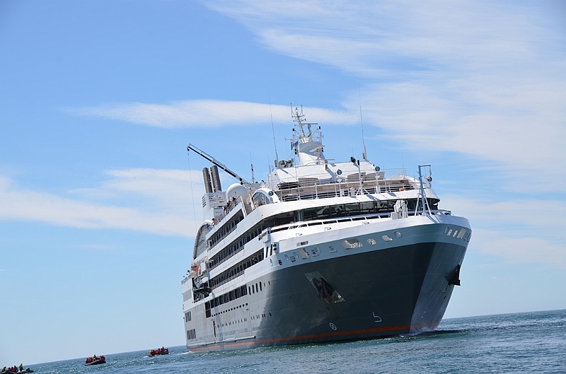 071_L_Austral.JPG