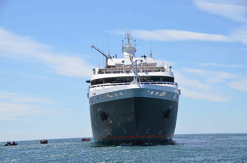 072_L_Austral.JPG