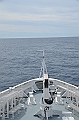 061_L_Austral