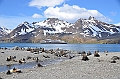 067_L_Austral