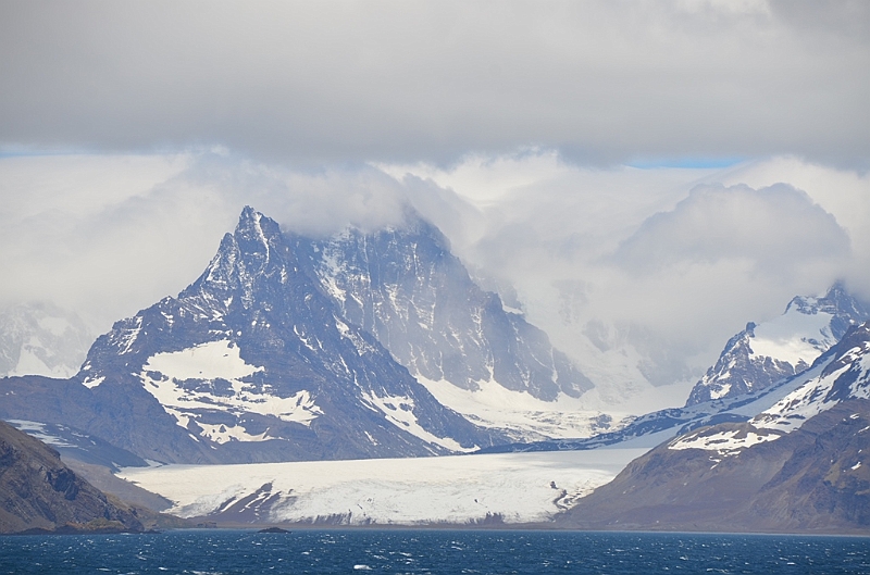 027_Antarctica_South_Georgia.JPG