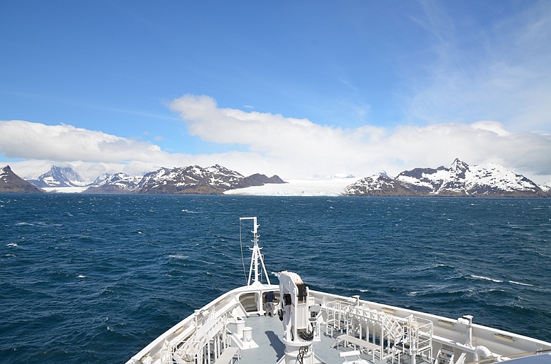 028_Antarctica_South_Georgia.JPG