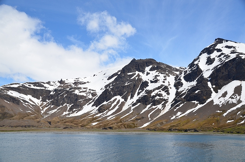 033_Antarctica_South_Georgia.JPG