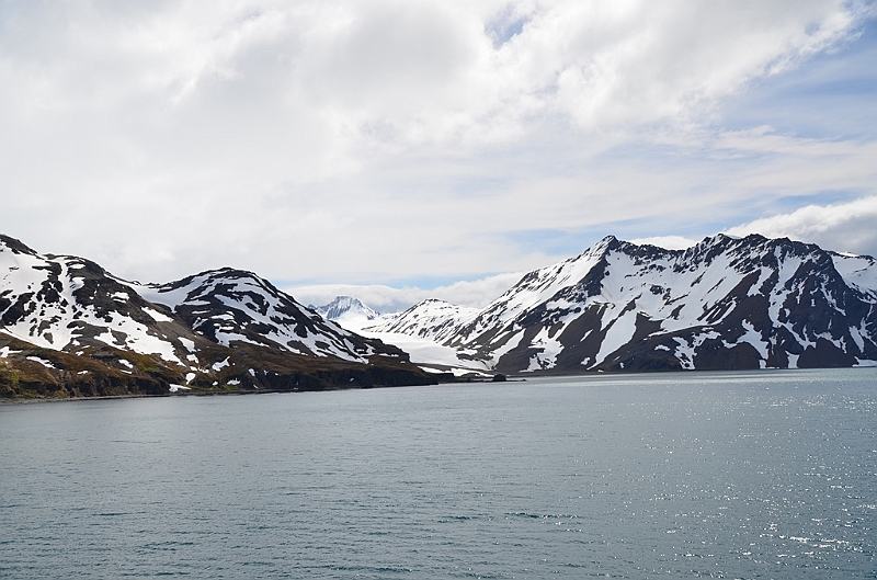 043_Antarctica_South_Georgia_Fortuna_Bay.JPG