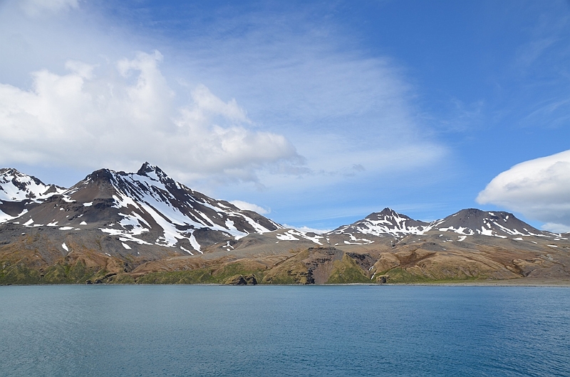 045_Antarctica_South_Georgia_Fortuna_Bay.JPG