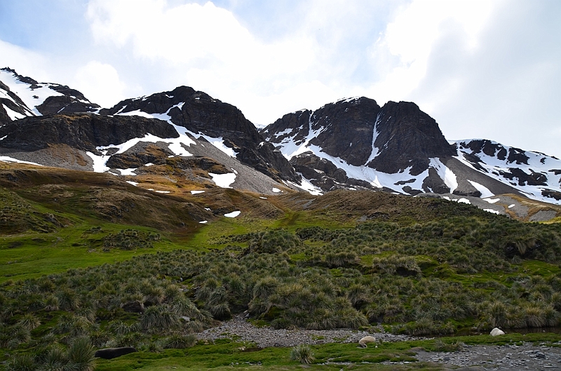 051_Antarctica_South_Georgia_Fortuna_Bay.JPG