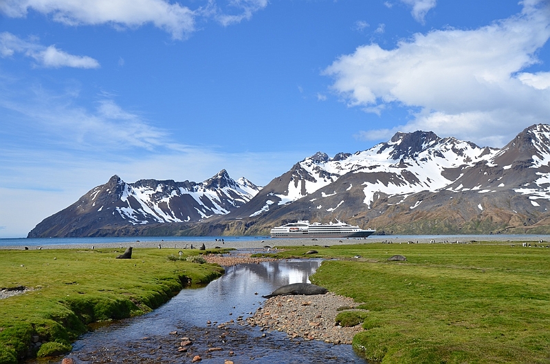083_Antarctica_South_Georgia_Fortuna_Bay.JPG