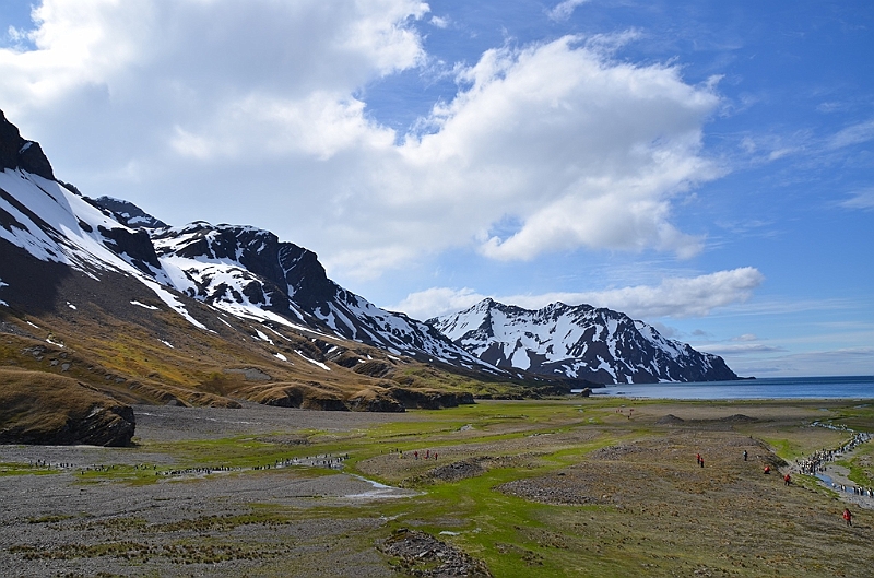 094_Antarctica_South_Georgia_Fortuna_Bay.JPG