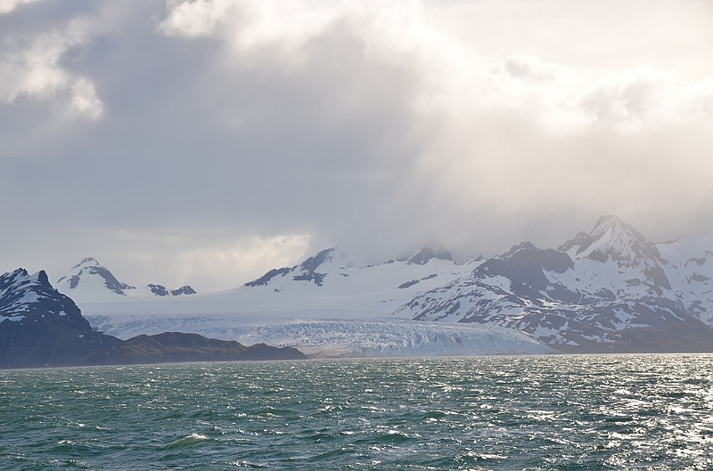 109_Antarctica_South_Georgia.JPG