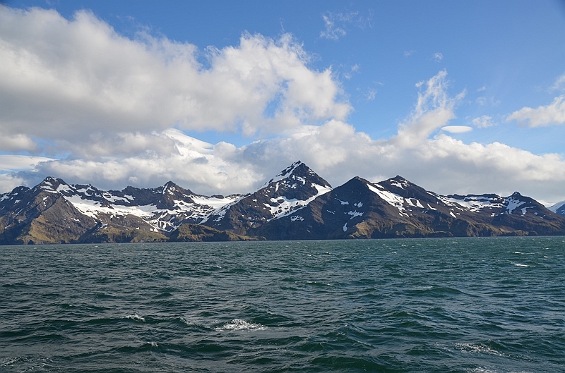 110_Antarctica_South_Georgia.JPG