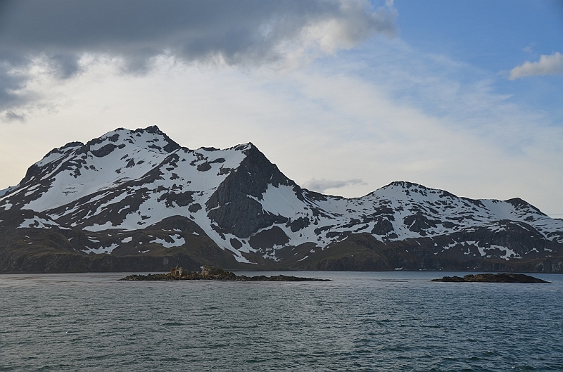 113_Antarctica_South_Georgia.JPG
