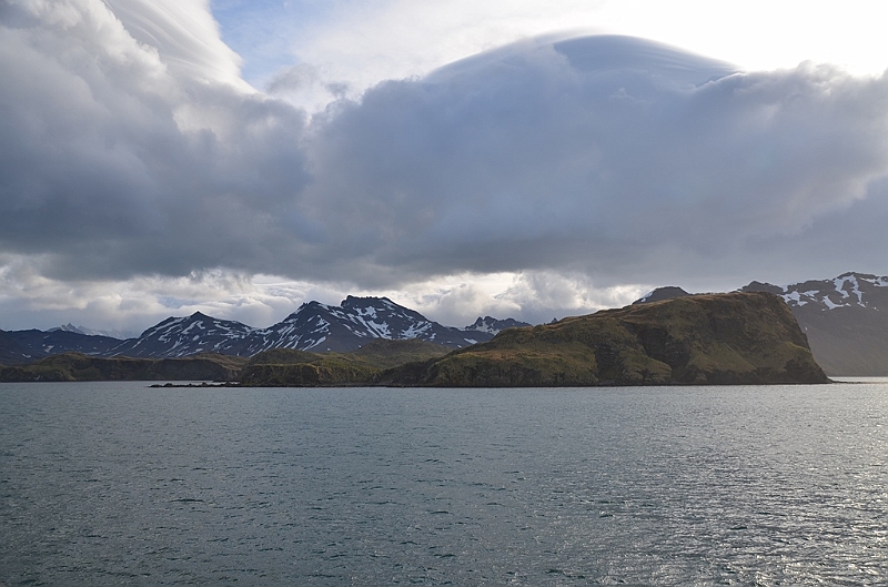 115_Antarctica_South_Georgia.JPG