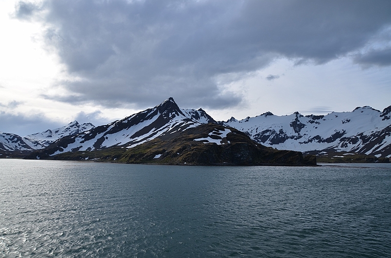 120_Antarctica_South_Georgia.JPG