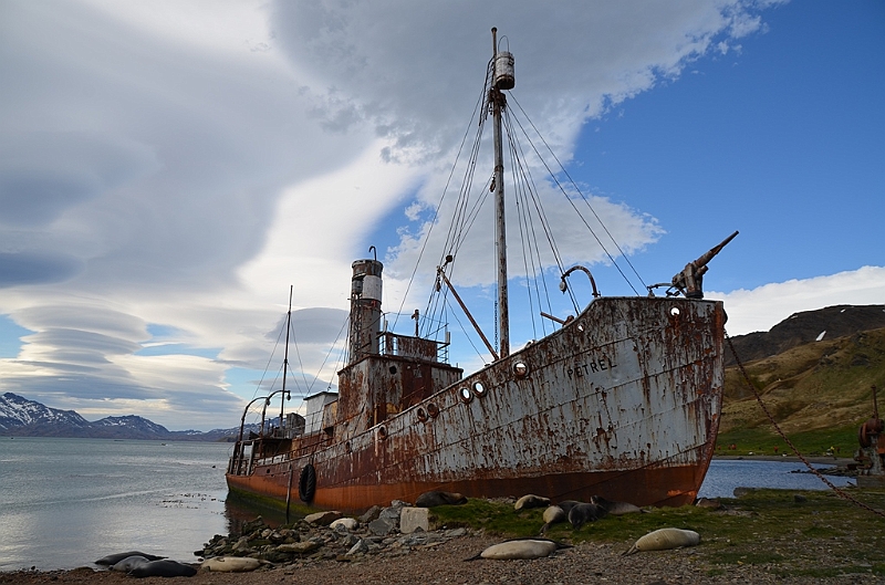 136_Antarctica_South_Georgia_Grytviken.JPG