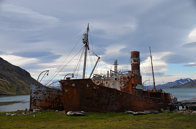 149_Antarctica_South_Georgia_Grytviken.JPG