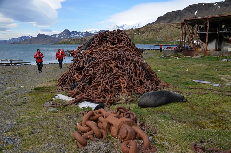151_Antarctica_South_Georgia_Grytviken.JPG