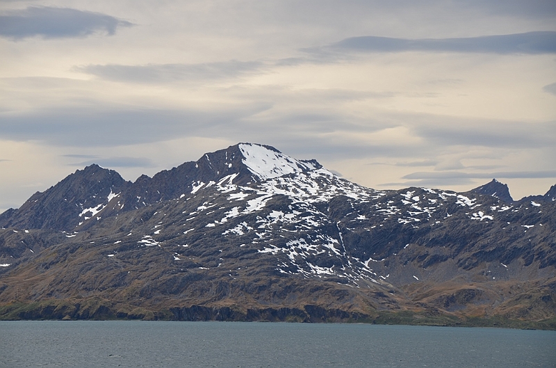 163_Antarctica_South_Georgia.JPG