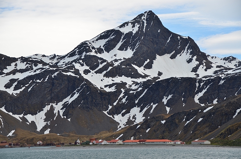 166_Antarctica_South_Georgia.JPG