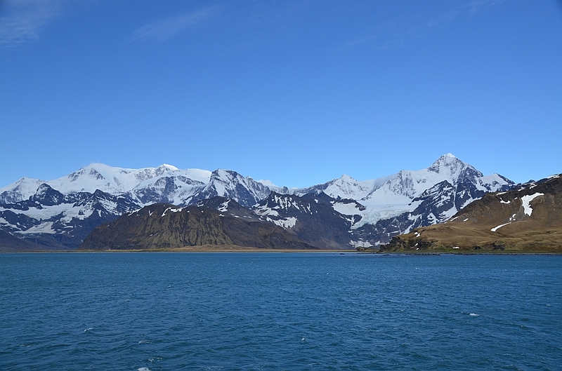 168_Antarctica_South_Georgia.JPG