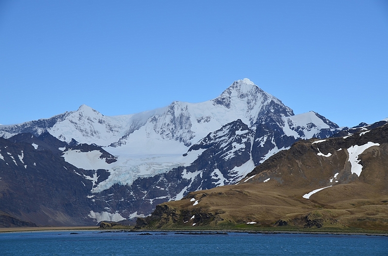169_Antarctica_South_Georgia.JPG