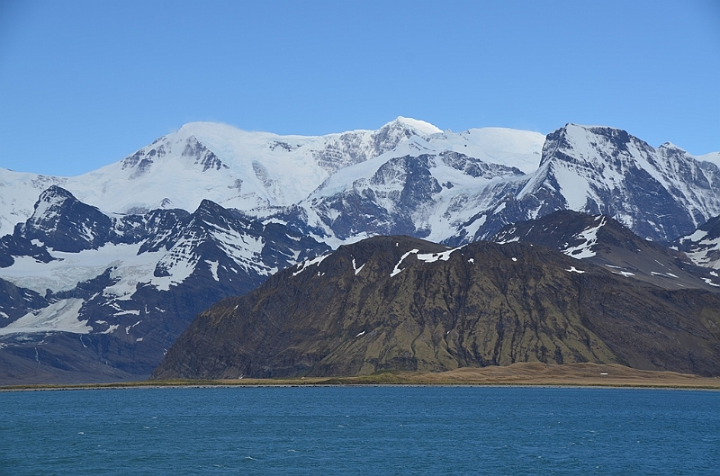 170_Antarctica_South_Georgia.JPG