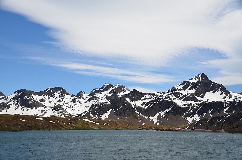 172_Antarctica_South_Georgia.JPG