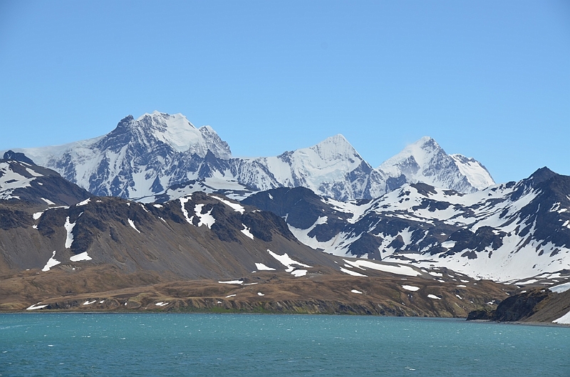 176_Antarctica_South_Georgia.JPG
