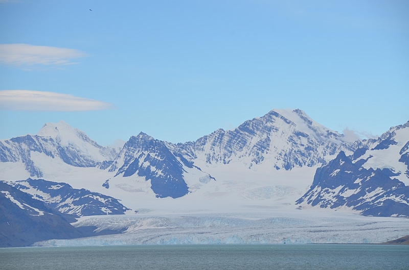 178_Antarctica_South_Georgia.JPG