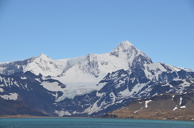179_Antarctica_South_Georgia.JPG