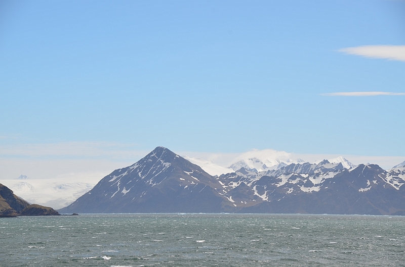 180_Antarctica_South_Georgia.JPG