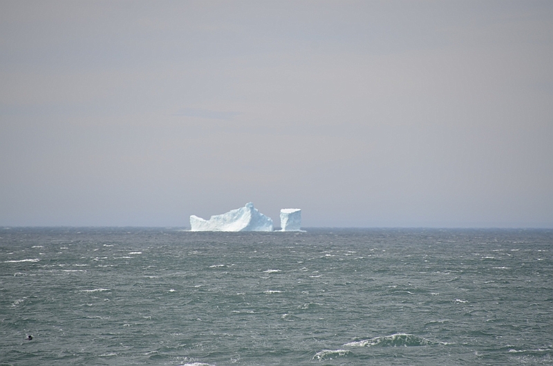 181_Antarctica_South_Georgia.JPG