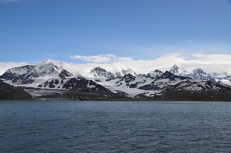 191_Antarctica_South_Georgia.JPG