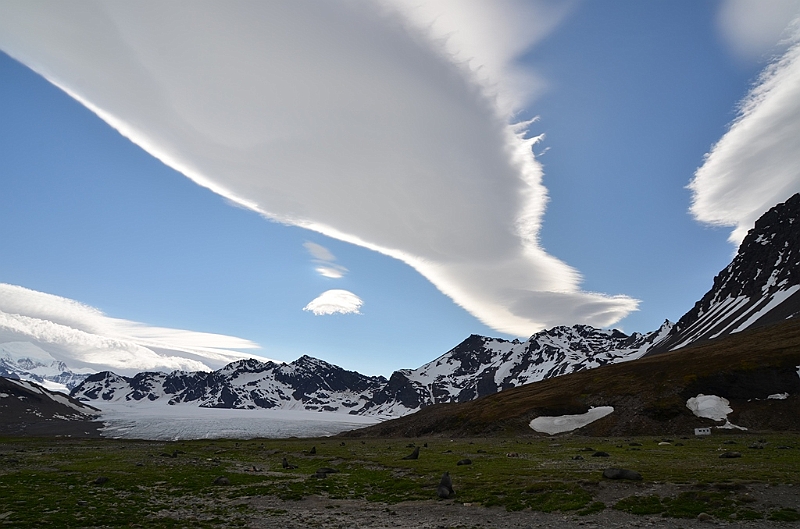 202_Antarctica_South_Georgia_Saint_Andrews_Bay.JPG